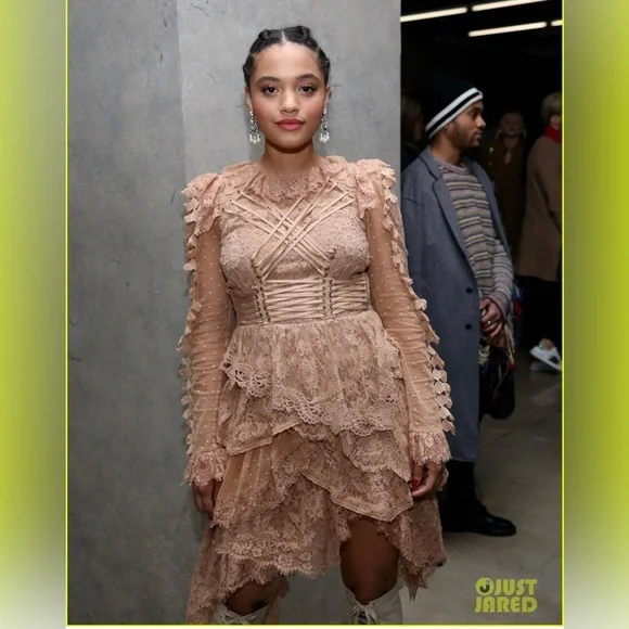 Super Rare 2017 Zimmermann Bowerbird Romance Mini Dress Runway Dress Size 1 - Picture 4 of 13